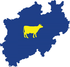 Gartenmoebel-NRW gelbe KUH